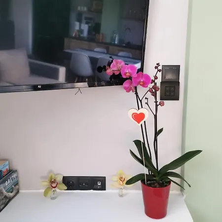 Dioni Lux Appartement Agios Nikolaos Buitenkant foto